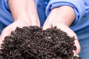 Cuatro soluciones a los problemas más habituales con el compost