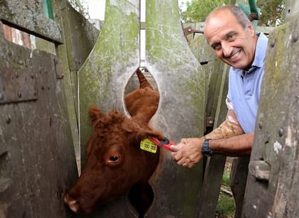 Para Acuña, la organización en el trabajo en un campo también es central