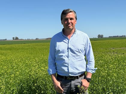 Para Alejandro Ramos Mejía, gerente comercial de Garfin Agro, el ingreso al programa de LDC también tiene un valor estratégico en el mediano plazo