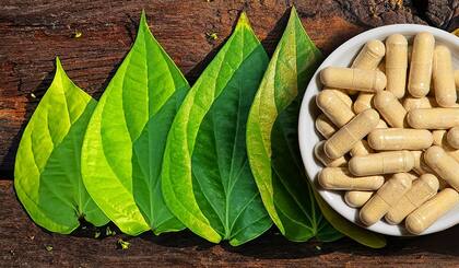 Para aquellas personas que no les gusta el sabor del kava existen comprimidos con kavalactonas