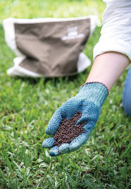 Para aumentar la biodiversidad y la sustentabilidad del jardín se recomienda sumar a la fertilización tradicional activadores radiculares y productos antiestrés ecológicos (micorrizas y trichodermas)