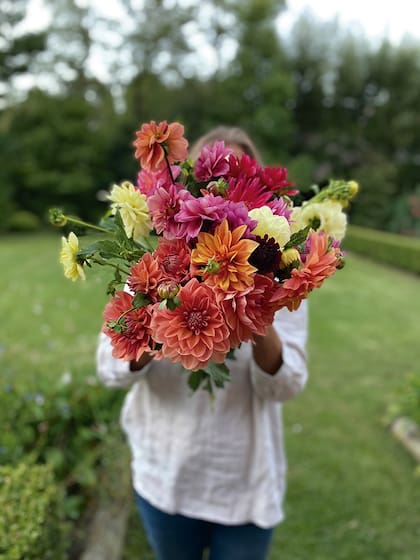 Para comenzar a planificar nuestro jardín de flores, lo primero que debemos hacer es estudiar el asoleamiento que tiene nuestro espacio