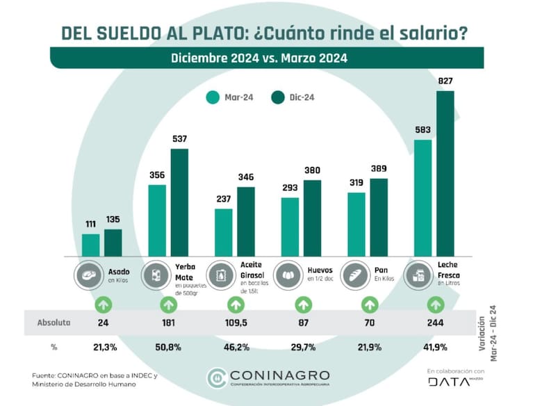 informe