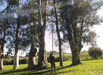 Para controlar los nidos que se encuentras a más baja altura, Canale sigue utilizando las cañas de fibra de carbono