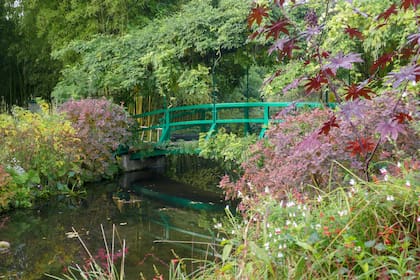 Para dar vida al estanque, Monet debió desviar un estrecho brazo del río Eure. Concebido como un escenario oriental: lo cruzan dos puentes de estilo japonés, enmarcados por especies del mismo origen.