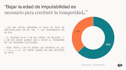 Para el 63% de los bonaerenses, bajar la edad de imputabilidad es necesario para combatir la inseguridad