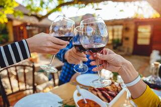 25 de mayo: ¿qué vinos tintos de hasta $500 van bien con el guiso patrio?