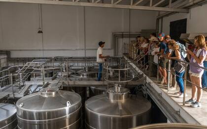 "Para el año 2025, el enoturismo se dirige hacia una experiencia más auténtica y personalizada, centrada en la conexión directa con el terroir y en el disfrute de vivencias únicas que trascienden la simple cata de vinos", afirman desde el sector