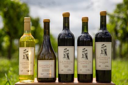 Para el Día del Malbec, Gamboa preparó una jornada especial con música clásica, con el fin de honrar la cepa más cultivada de la Argentina