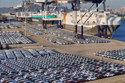 Para el especialista, la respuesta no debería ser una apertura total sin protección industrial