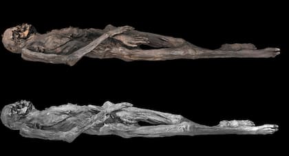 Para el estudio de las momias se utilizaron técnicas digitales muy novedosas (Foto: Antiquity)