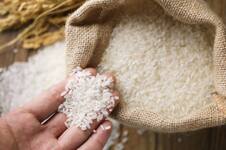 Cuántos granos de arroz hay que llevar en la billetera para atraer dinero y prosperidad