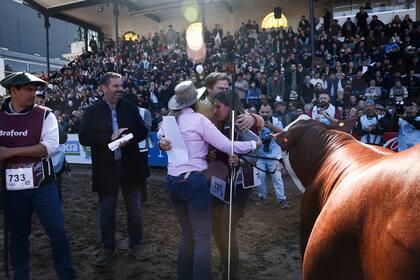 Para el jurado, la Gran Campeona es una hembra muy femenina, larga, con buena costilla que camina muy bien, está bien aplomada tanto de manos como de patas traseras, con isquiones bien ubicados y un cuadril largo