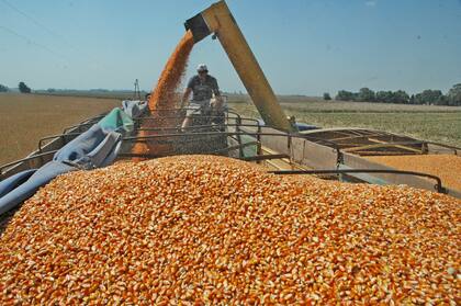 Batistela: “Necesitamos un propósito común"