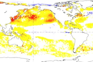 Advierten sobre temperaturas muy altas y un desafiante fenómeno climático