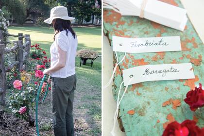 Para el riego, es importante tener un suministro de agua cerca de los plantas. Der.: se recomienda conservar el nombre del rosal una vez plantado, para poder identificarlo.