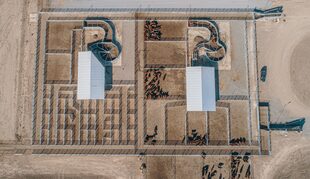 Para el trabajo con animales hay dos sistemas de mangas: una para la parte comercial y otra para el sector experimental. Ambos módulos poseen un sistema de brete hidráulico con celdas de pesaje y bastón para lectura de caravanas electrónicas