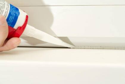 Para eliminar las lagartijas del interior de la vivienda, se aconseja identificar y sellar los puntos de entrada