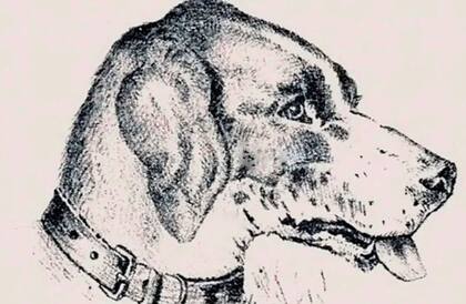 Para encontrar la cabeza de un hombre escondida en el dibujo de un perro hay que dar vuelta la imagen
