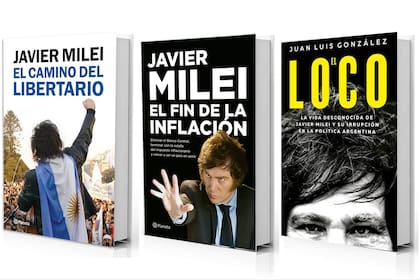 Para estudiar a Javier Milei, el candidato presidencial más votado en las PASO