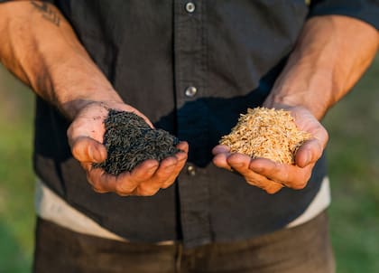 Para evitar el desmonte, crearon una carbón de arroz.