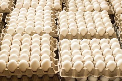 Para evitar infecciones por salmonela es importante chequear que los huevos estén etiquetados y tengan su fecha de consumo