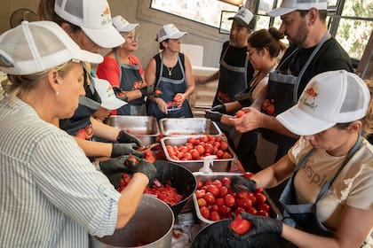 Para facilitar el pelado de los tomates, antes se pasan unos pocos minutos por agua caliente para que la cáscara se ablande
