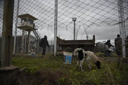 Para facilitar la fuga, el grupo de apoyo externo cortó el alambrado de seguridad en el penal de Piñero