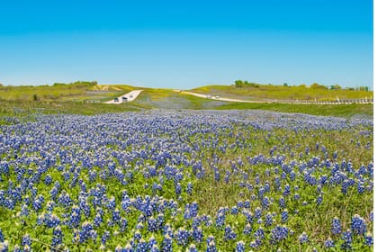 Para fijar los límites, Texas utiliza un estándar de ingeniería que calcula la velocidad por debajo de la cual circula el 85% de los conductores en condiciones óptimas y fuera de horas pico