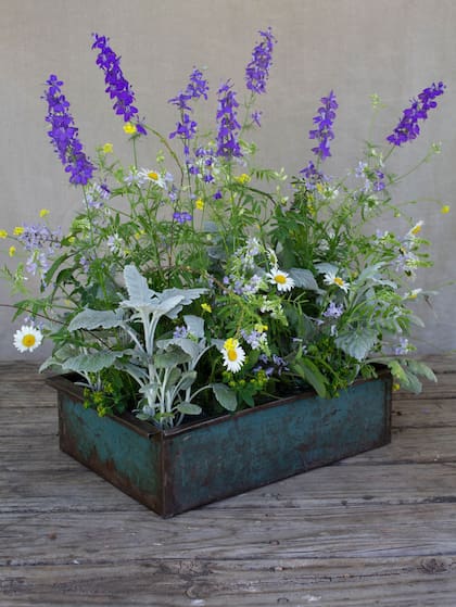 Para hacer un arreglo se tienen en cuenta los mismos elementos y principios del diseño que para hacer un cantero, como las texturas y la combinación de colores de las plantas. En este caso se amalgamaron diferentes formas y colores de flores y también se tuvo en cuenta la elección del follaje. Con un diseño fresco y natural, llevando las flores del cantero adentro de la casa, se buscó integrar el exterior con el interior.