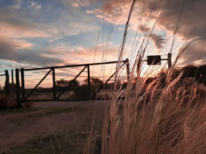 Para Horario Salaverri, contador y titular de Carbap, el intento de Massa de disminuir el déficit fiscal a través de elevar la presión tributaria sobre el productor agropecuario es un “verdadero desatino o es desconocer la realidad del sector que hoy no soporta ningún impuesto nuevo ni un incremento sobre uno ya existente”