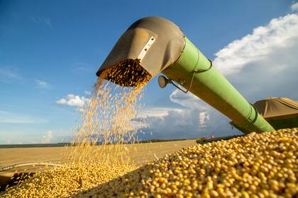 Para Illescas, las oportunidades más relevantes están tanto en los commodities como el mercado asiático