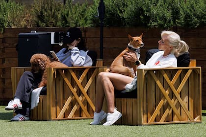 Para ingresar a PPL los perros deben pasar por una prueba de temperamento para tener certeza de que su comportamiento es adecuado para interactuar con otros perros y personas
