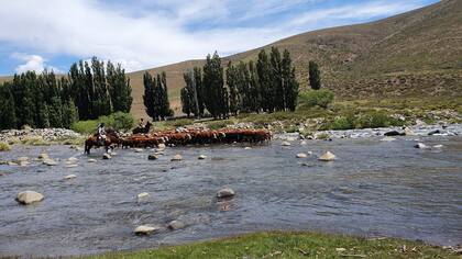 "Para ingresar al campo hay que cruzar el Río. En esta imagen estamos ingresando con animales en el mes de noviembre", relátala productora.