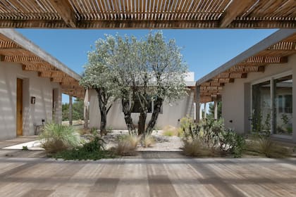 Para ingresar los árboles al patio tuvieron que usar una pluma: los elevaron desde el exterior y los colocaron directamente allí. Este espacio fue pensado como circulación y conexión entre los diferentes módulos de la casa.