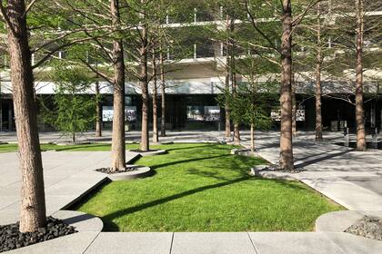 Para Kiley "el hombre siempre ha hecho más o menos líneas rectas". Era un amante del racionalismo y fue gran lector de Newton y Darwin. En 1997, recibió la Medalla Nacional de Artes.