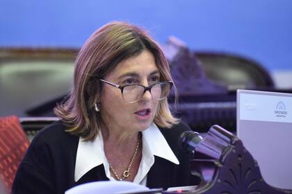 La diputada Alicia Fregonese: "Dicen que anuncian un plan y en realidad anuncian restricciones"