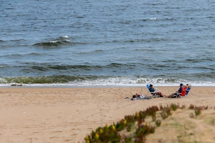 Para llegar a Bahía del Pinar se debe cruzar un pequeño bosque con casas a los costados