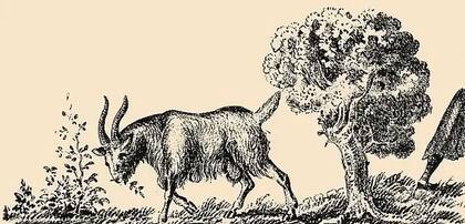 Para localizar el rostro de la mujer, alejate de la imagen