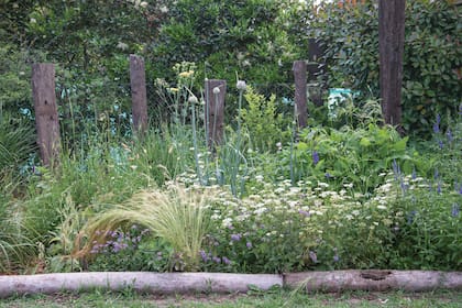 Para lograr mayor profundidad en el cantero se colocaron durmientes
verticales de diferentes alturas. Es un truco para engañar el ojo y que parezca más profundo.