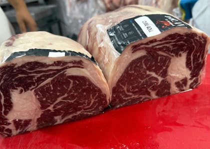 Para lograr un producto final premium, uno de los pilares centrales del crecimiento de Ganagrin fue el desarrollo de la genética bovina