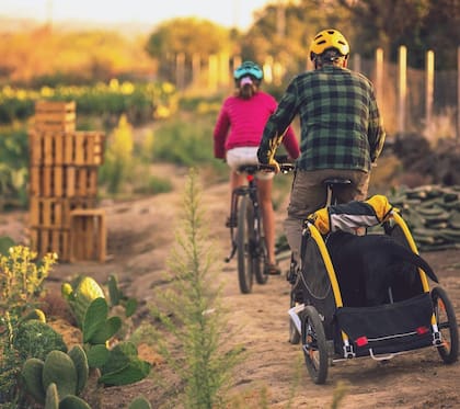 Para los amunches, cada día es una nueva oportunidad para volver a empezar