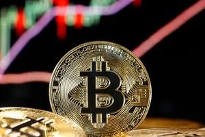 Bitcoin se recupera en medio de las tensiones entre Elon Musk y Donald Trump