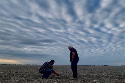 Para los arrendatarios la mejora es de US$31,6/ha y de US$40,3/ha en zona núcleo y extrapampeana, respectivamente, aunque en este último caso la recomposición solo alcanzaría para reducir pérdidas (US$68 negativos a US$28 negativos, siempre por hectárea)