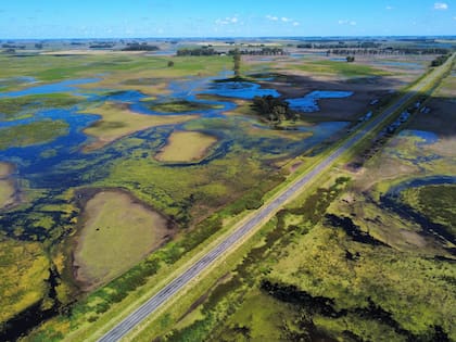 Para los directivos de la entidad, "hay tasas que valen el doble y los caminos siguen igual”