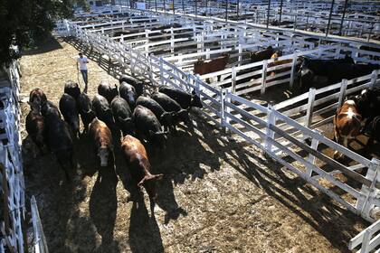 Para los expertos, es clave mantener un lugar físico para el libre juego de la oferta y la demanda