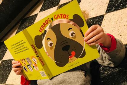Para los más chicos, libros con ventanas para descubrir personajes