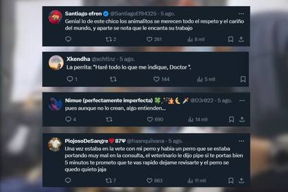 Para los seguidores de la cuenta la perra entendió la explicación