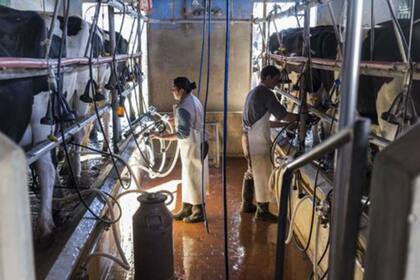 Para el tambo se deterioraron las relaciones para comprar insumos