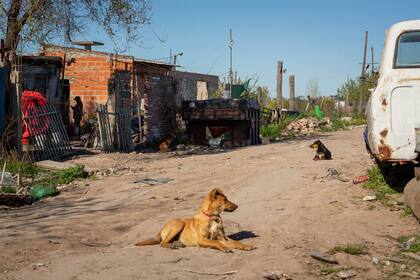 Para los vecinos el olor es insoportable.